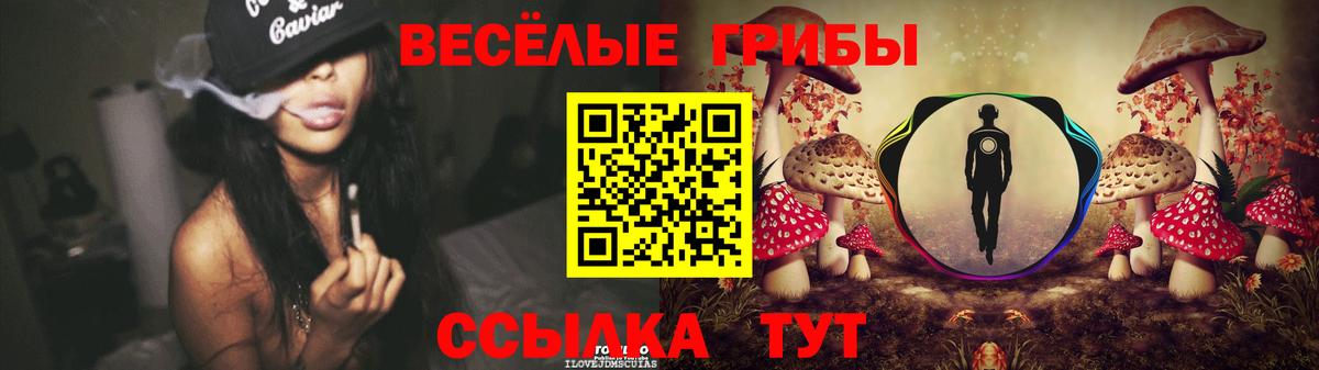 Псилоцибиновые грибы Psilocybe Ипатово